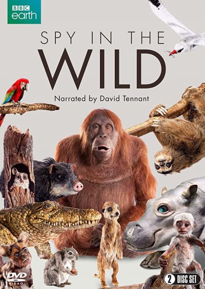 دانلود سریال Spy in the Wild دانلود سریال Spy in the Wild